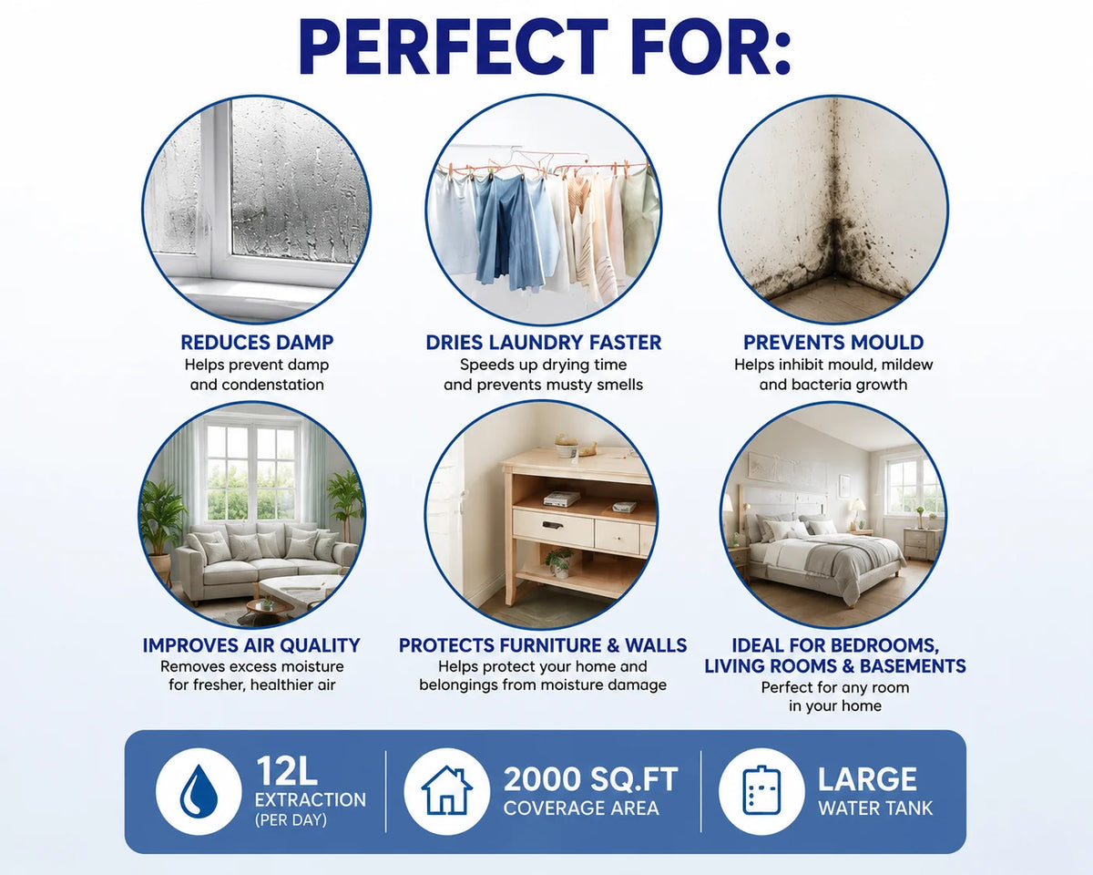 DSL 12L Electric Dehumidifier – 2000 sq. ft Coverage, Laundry Drying & Digital Control