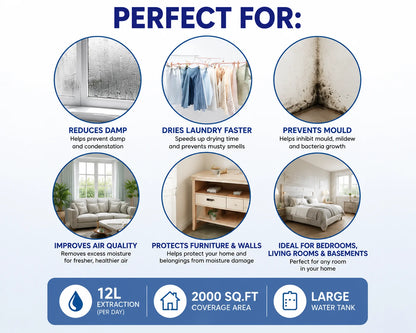 DSL 12L Electric Dehumidifier – 2000 sq. ft Coverage, Laundry Drying & Digital Control
