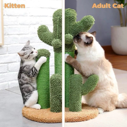 Cactus Cat Scratching Post 3 in 1 Sisal Cat Tree Brown 53cm with Hanging Toy