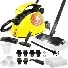Collection image for: Steam Cleaners