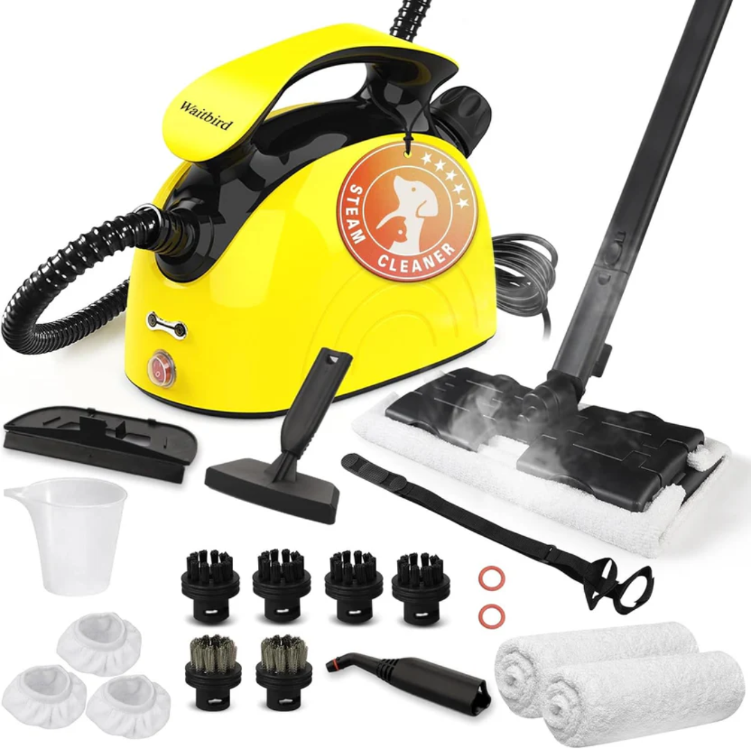 Steam Cleaners